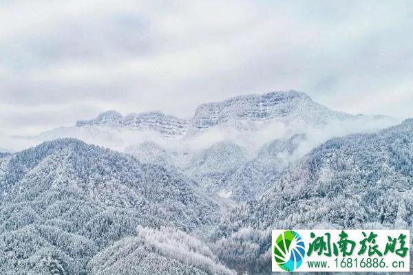 成都下雪了吗 成都附近赏雪的地方