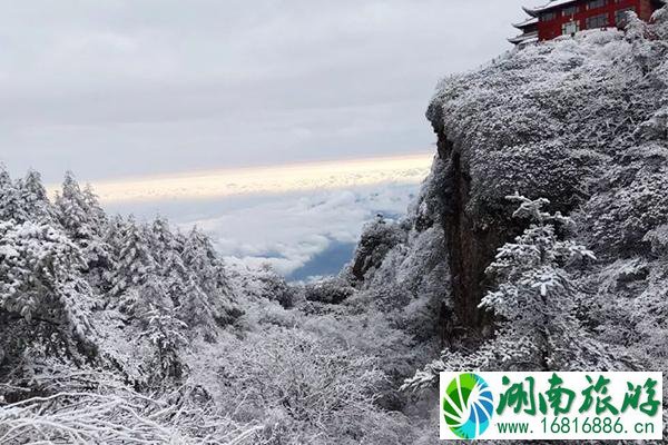 成都下雪了吗 成都附近赏雪的地方