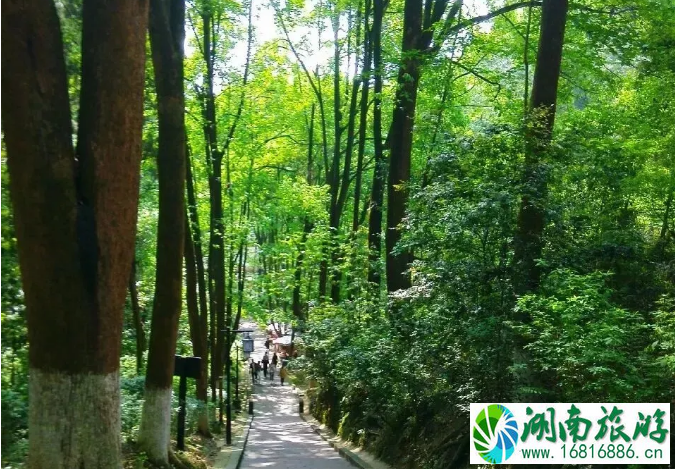 成都周边爬山一日游景点推荐及交通指南