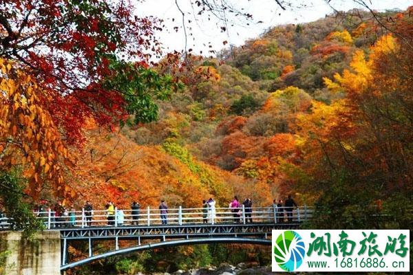 成都周边秋天哪里景色好 成都周边秋天风景好的地方推荐