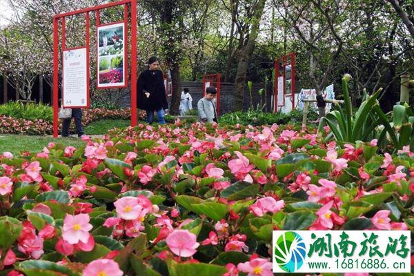 2021成都花朝节在哪里举办 附活动详情