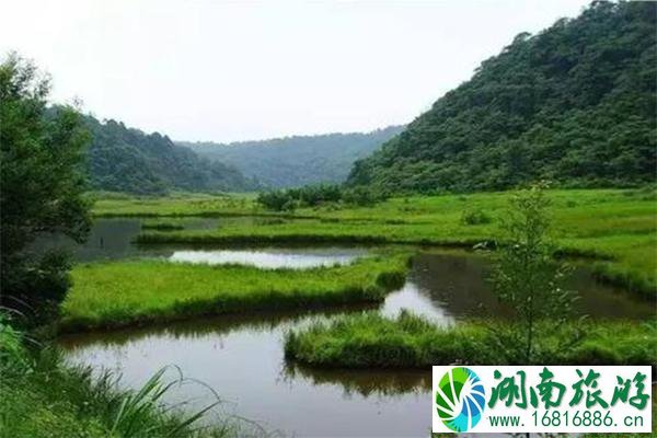 雅安大海子介绍 地址-图片