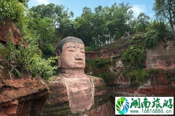 从成都怎么自驾游去乐山大佛景区