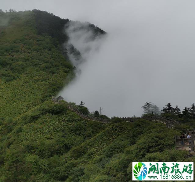 成都自驾西岭雪山攻略