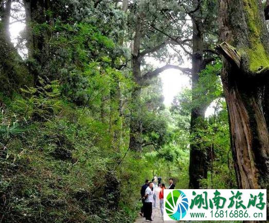 四川最美自驾游路线图