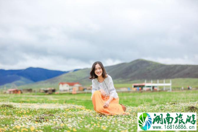 四川红原大草原自由行攻略 红原大草原花期是什么时候