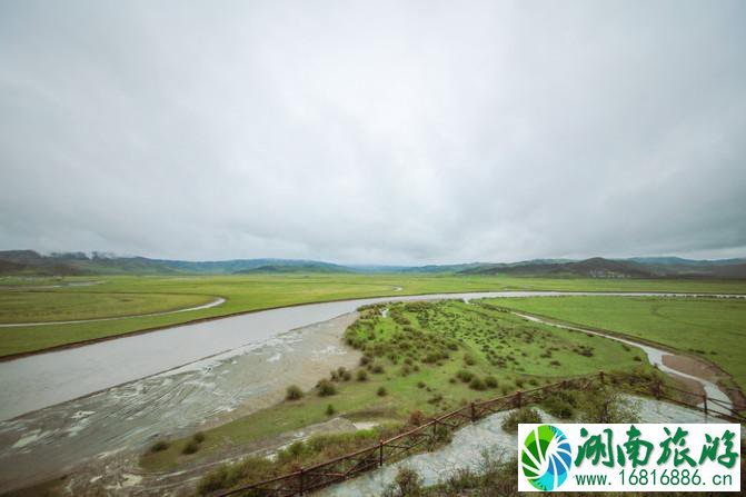 四川红原大草原自由行攻略 红原大草原花期是什么时候