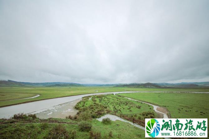 四川红原大草原自由行攻略 红原大草原花期是什么时候