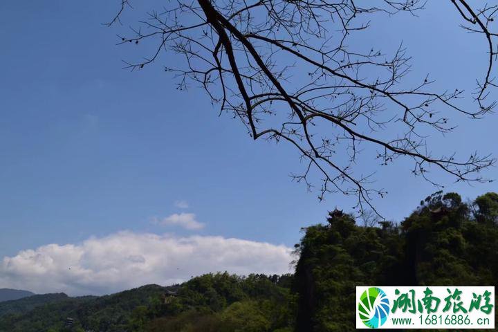  都江堰风景区在哪儿