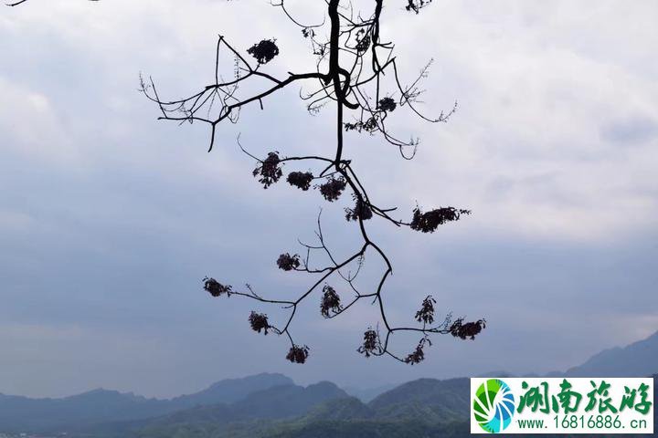  都江堰风景区在哪儿