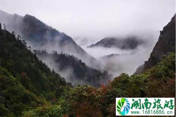 雅安黑水河景区介绍 雅安黑水河景区烧烤攻略