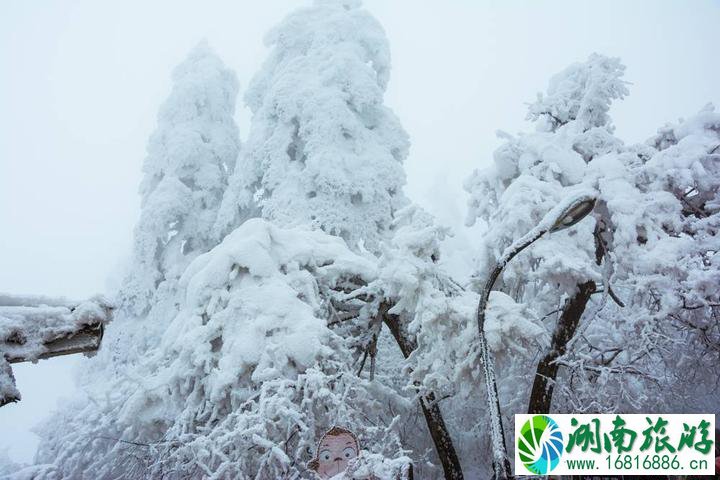 峨眉山冬季旅游攻略  峨眉山有什么特点