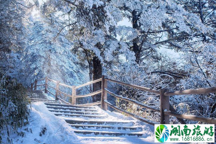 峨眉山冬季旅游攻略  峨眉山有什么特点