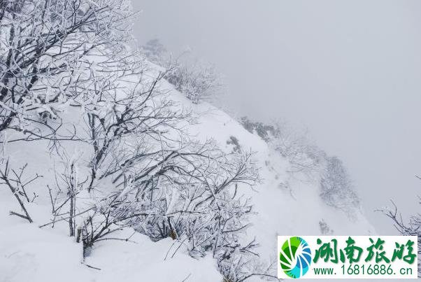 2021-2022成都西岭雪山冬季游玩攻略 滑雪场游玩攻略