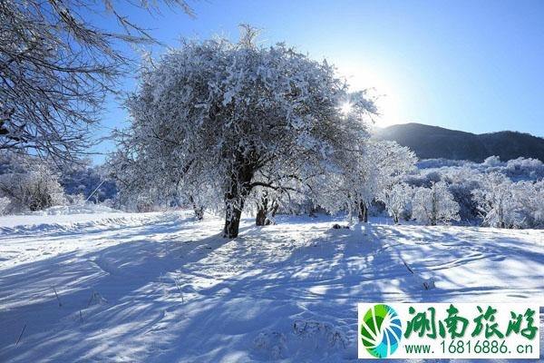 四川滑雪场哪个最好 四川滑雪场推荐