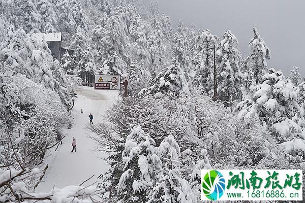 成都周边下雪好玩的景区有哪些 一起来耍雪就在这几个地方了