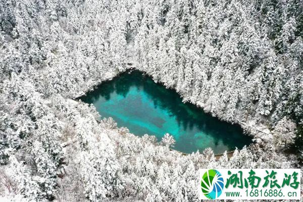 2020西岭雪山滑雪场开放时间 四川哪些景区下雪了