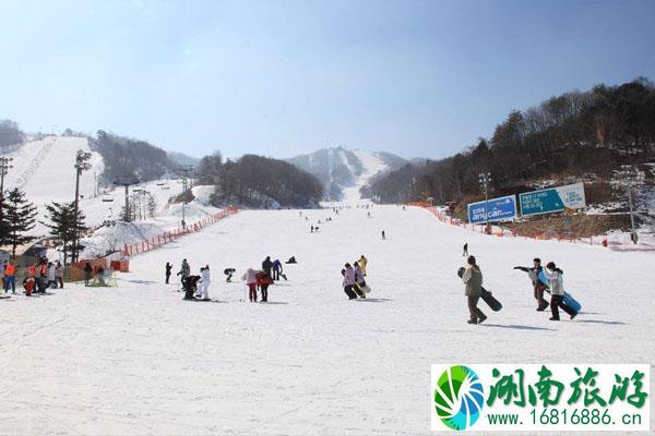 峨眉山雷洞坪滑雪场门票2020 游玩攻略