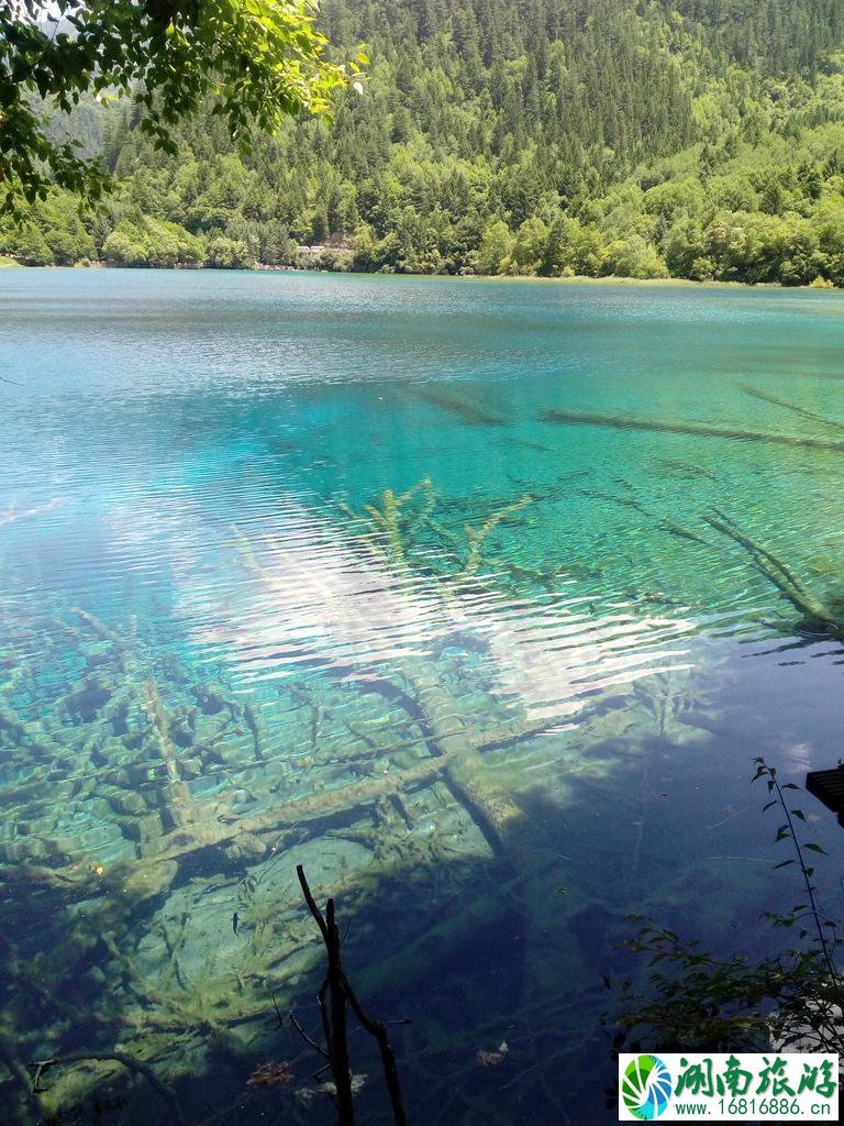 九寨沟8月份去好吗 九寨沟8月旅游攻略