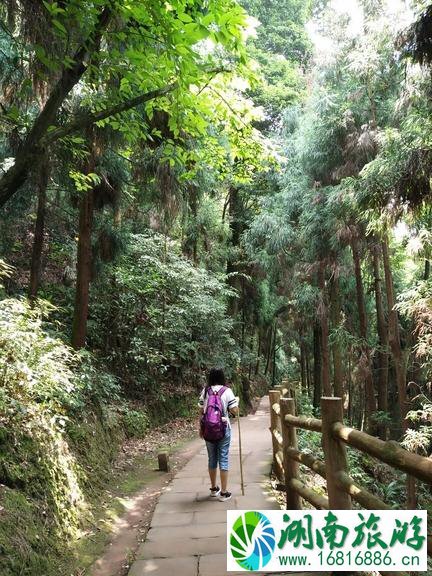 峨眉山有哪些景点 峨眉山有哪些寺庙