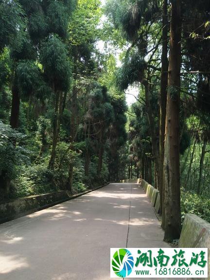 峨眉山有哪些景点 峨眉山有哪些寺庙