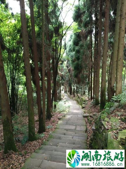 峨眉山有哪些景点 峨眉山有哪些寺庙