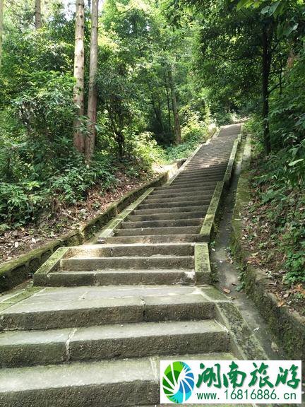 峨眉山有哪些景点 峨眉山有哪些寺庙