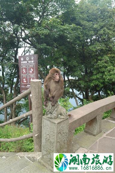 峨眉山有哪些景点 峨眉山有哪些寺庙