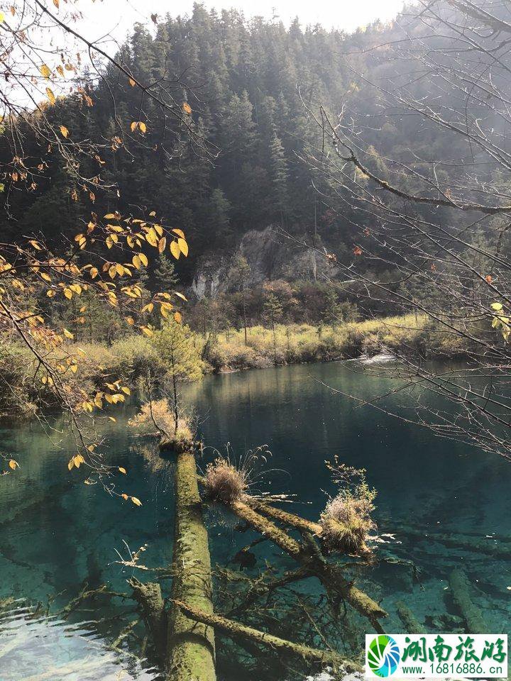 峨眉山有什么景点 峨眉山有什么好吃的