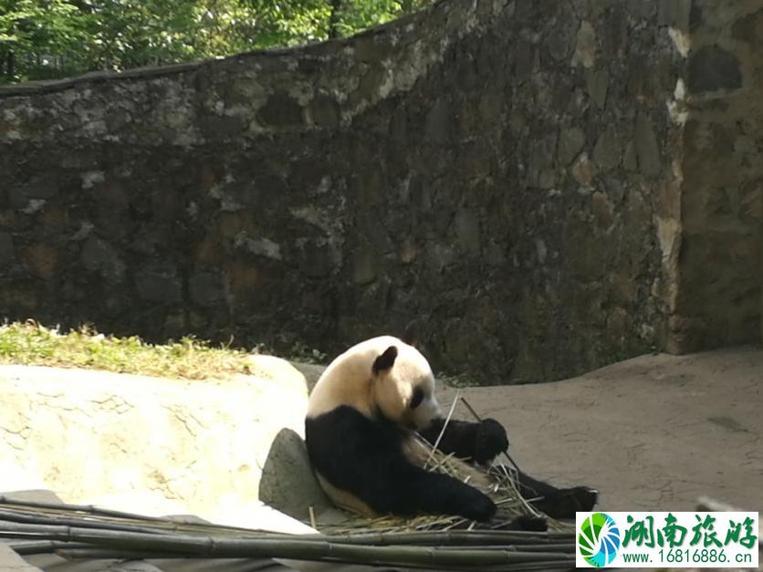 九寨沟黄龙旅游注意事项 九寨沟黄龙旅游指南