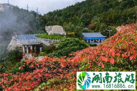 2022青岛崂山门票优惠政策 崂山旅游直通车信息