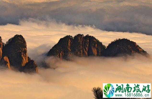 泰山黄山庐山哪个好玩 泰山黄山庐山介绍