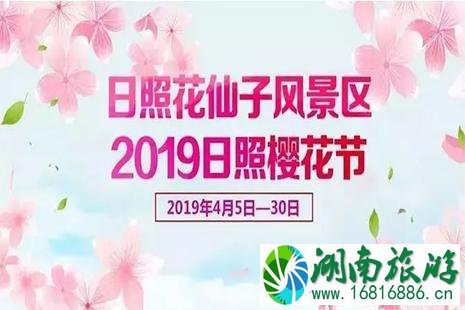 2022日照樱花节4月5日至30日 附活动信息