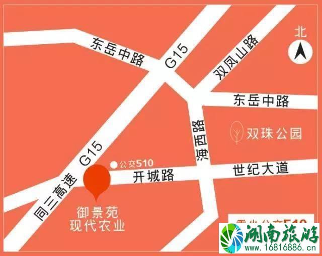 青岛樱桃采摘时间2022+价格+地址+交通