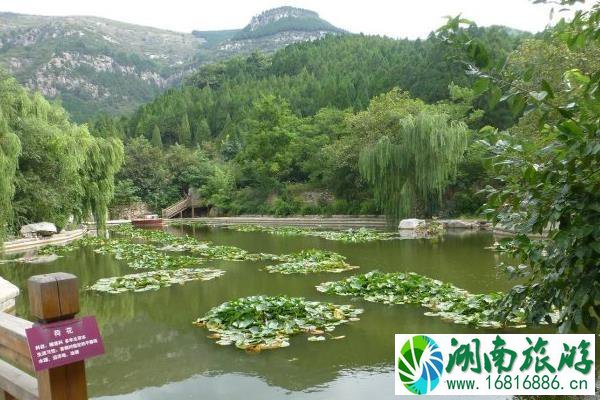 济南南部山区有什么好玩的景点推荐