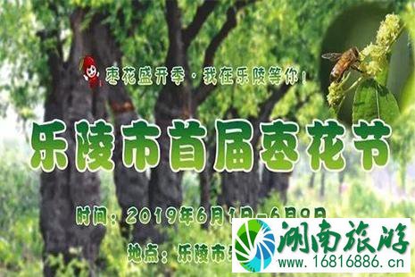 2022德州乐陵首届枣花节6月1日开启 附活动时间安排