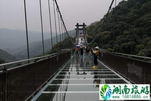 广东古龙峡景区玻璃大峡谷介绍