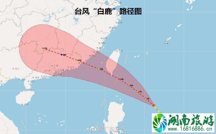 2022台风白鹿对广东福建的影响（机场航班+海上航线+高铁+暴雨区域）