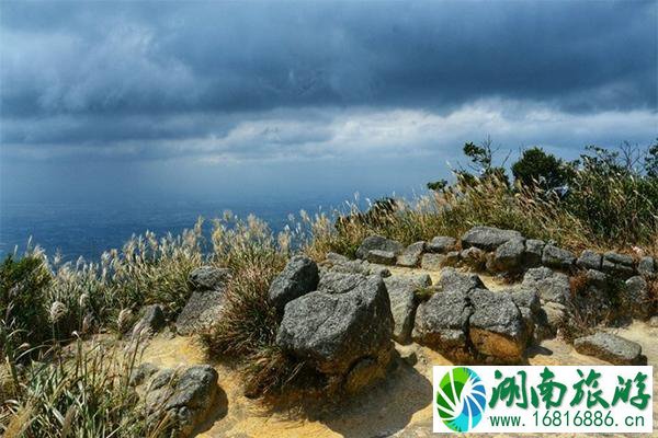 惠州罗浮山一日游玩攻略