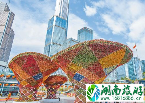 2020深圳迎春花市什么时候举办 （时间+地点）