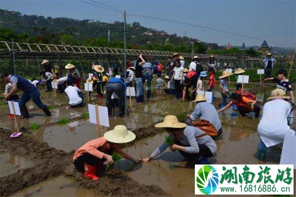 汕头丹樱生态园营业时间 附2020新春庙会活动信息