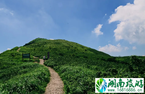 春节深圳周边游推荐地 地点以及门票