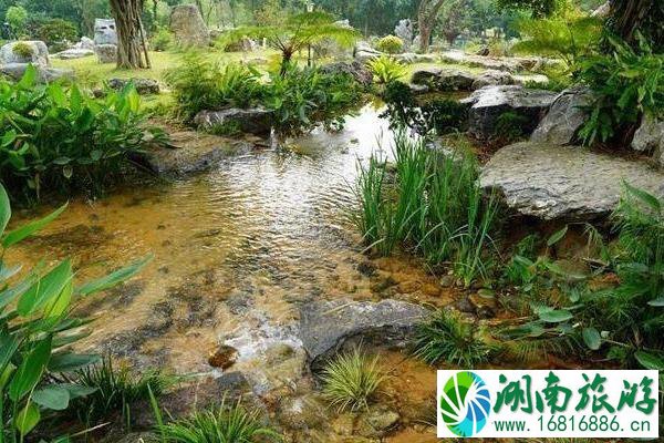 东莞植物园景点介绍 东莞植物园有什么好玩的