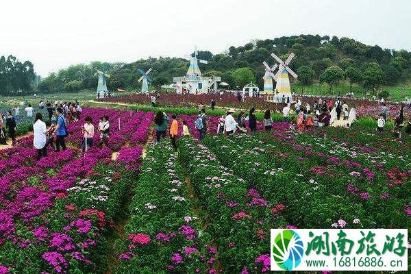 东莞植物园怎么去(地铁 公交 导游图)