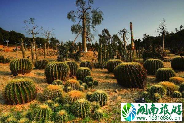 东莞植物园停车场收费吗 东莞植物园停车费多少钱