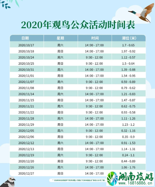 2020-2021深圳湾公园观鸟活动时间表