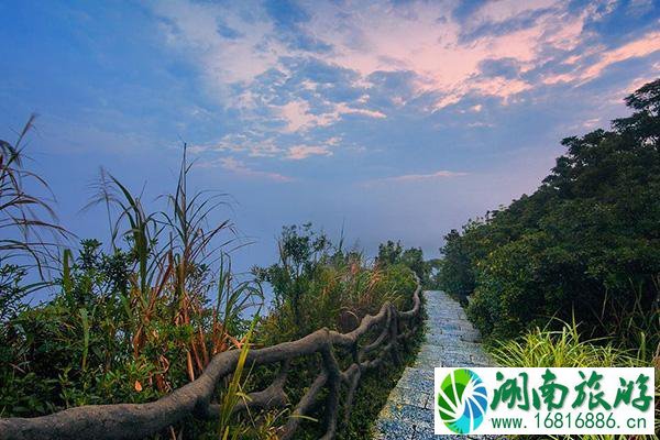 深圳重阳节去哪里爬山 景点推荐