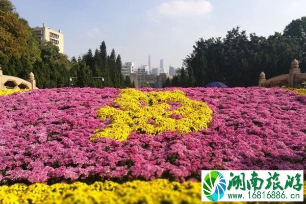 2021广州黄花岗菊花展举办时间