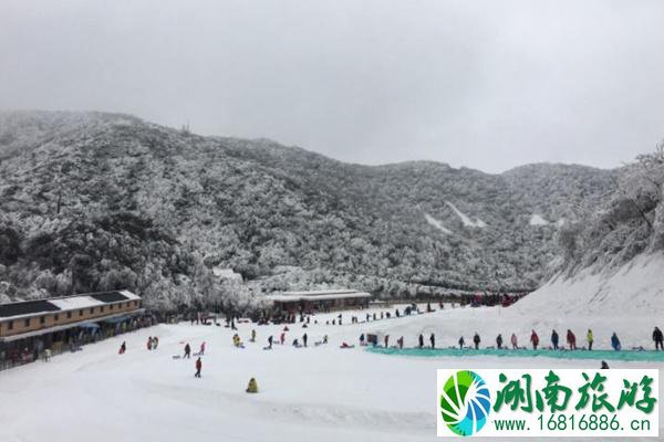 2021金佛山北坡滑雪场开放时间+门票价格