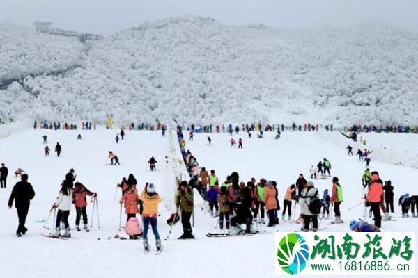 2021金佛山牵牛坪滑雪场开放时间及门票价格